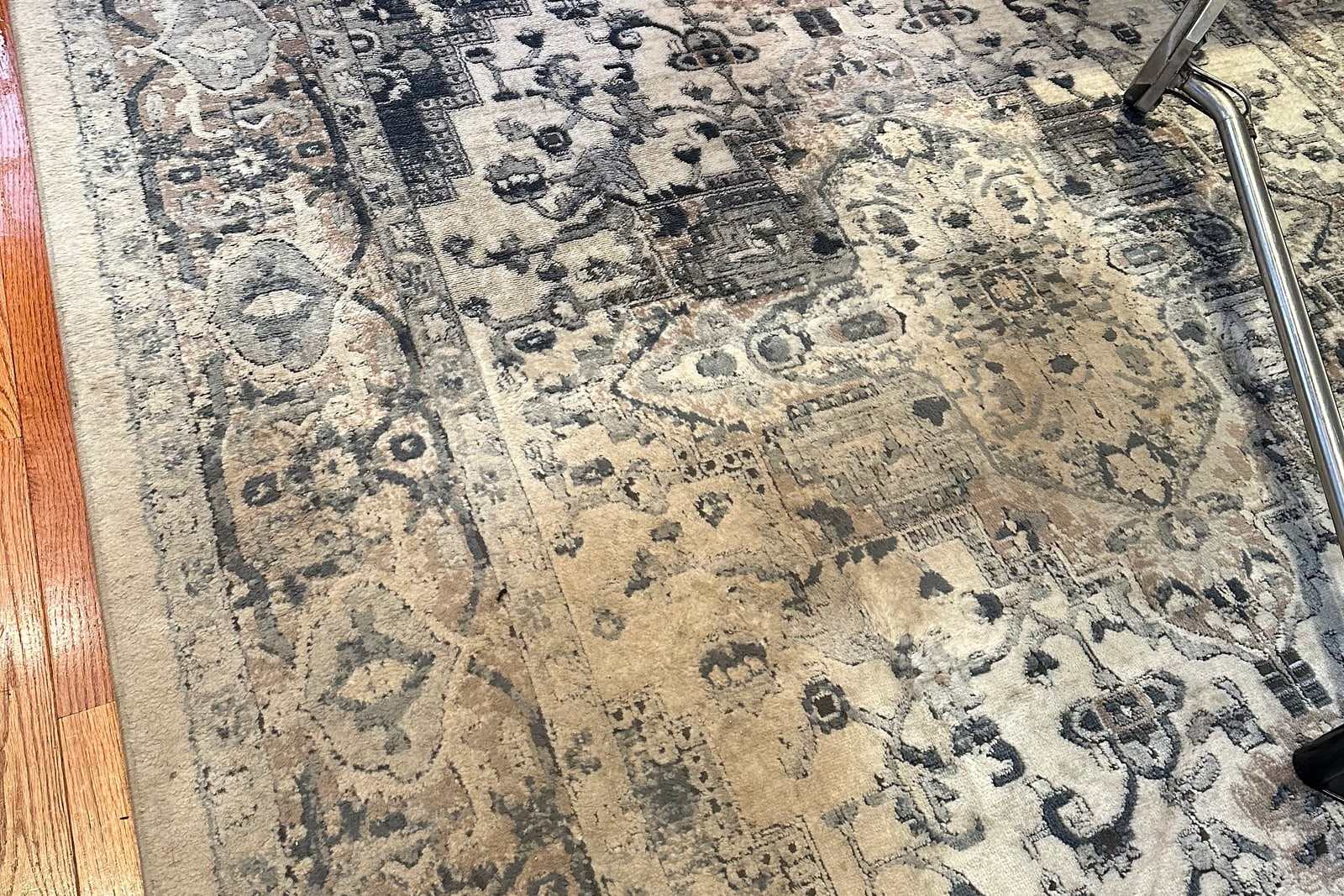 A grey and cream patterned rug part-way through cleaning, the wand in frame and a clean stripe across the pile
