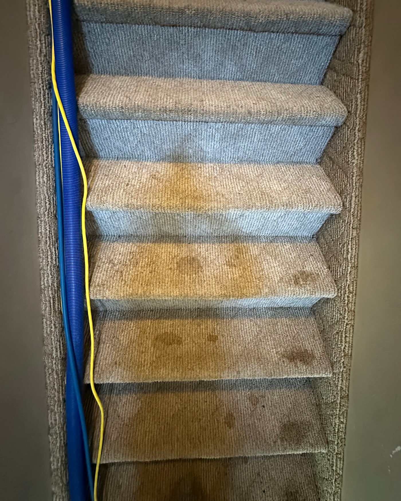A carpeted staircase before cleaning: the oatmeal bands blotched orange-brown with traffic soil, extraction hose lying across the treads
